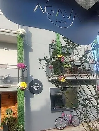 Agava Club Sremska Kamenica