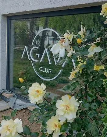 Agava Club * Sremska Kamenica