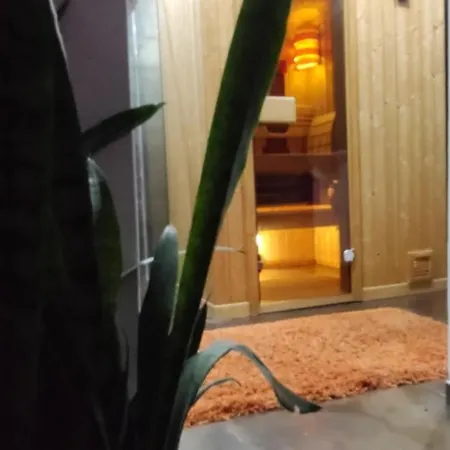 Agava Club Sremska Kamenica