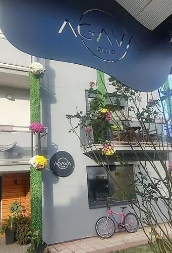 Agava Club Sremska Kamenica