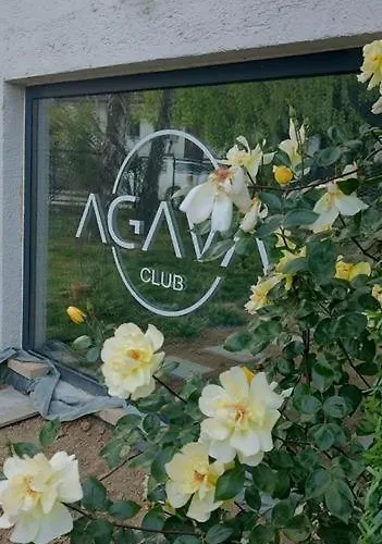 Agava Club * Sremska Kamenica