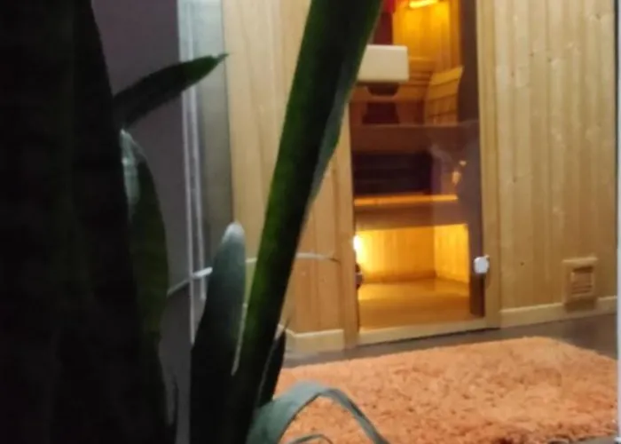 Agava Club Sremska Kamenica